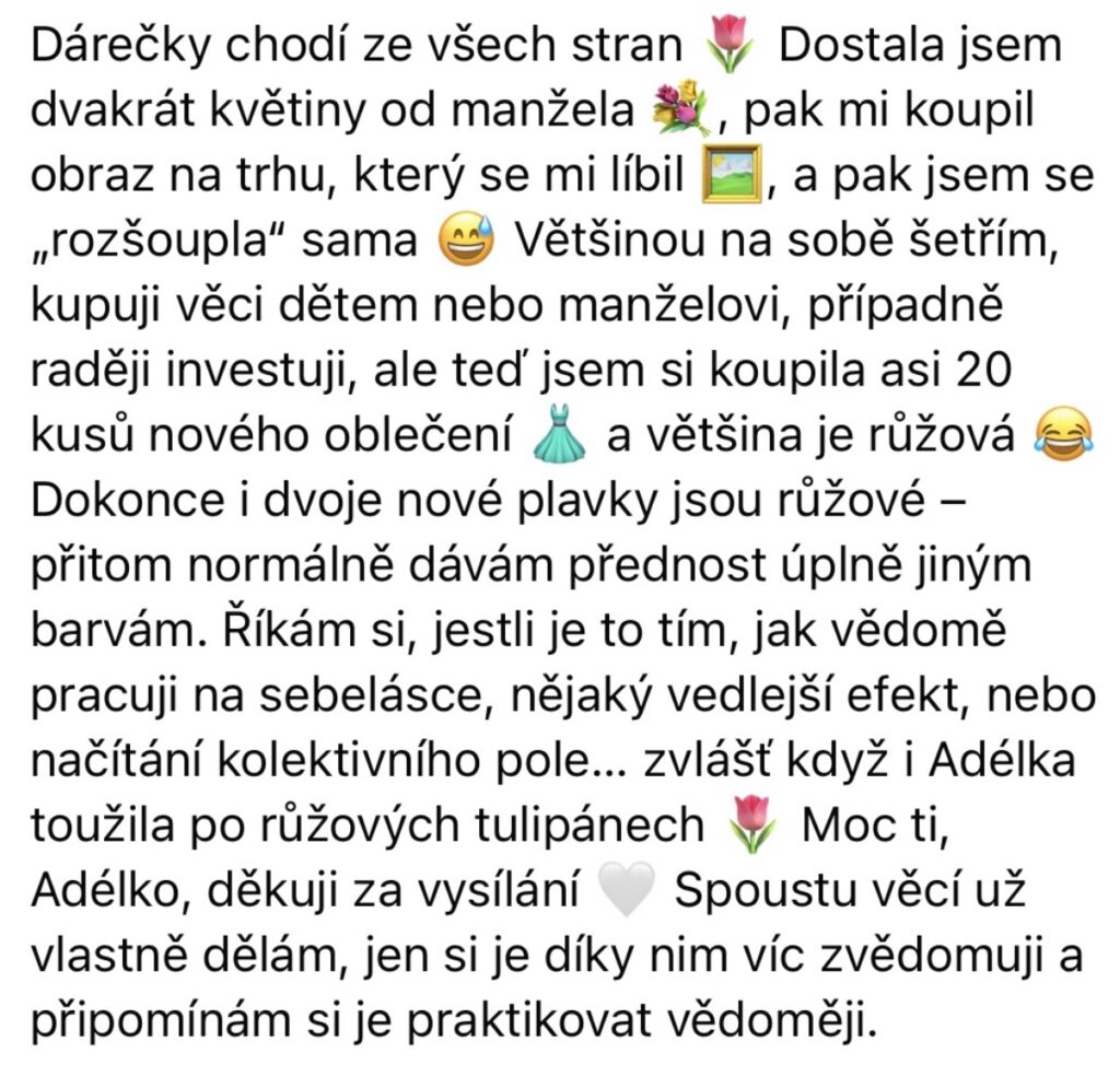 Manifestace Adéla Třetinová